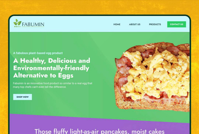create a business wix website design or redesign wix